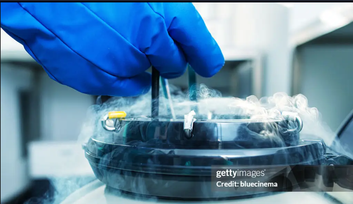 Imagem meramente ilustrativa